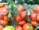 Videi draudzīga barošana, izmantojot vienkāršus līdzekļus: tomātu apstrāde ar pienu, jodu un ūdeni