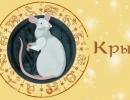 Kineski detaljan horoskop štakor, bivol, tigar Karakteristike bijelog metalnog štakora