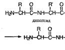 Totul despre peptide și cosmetice anti-îmbătrânire cu peptide Peptide, metode de producere a acestora, legătură peptidică